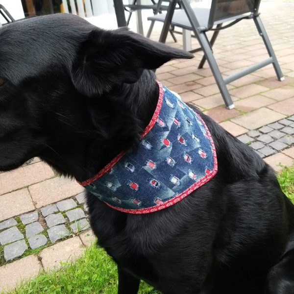 Penina Halstuch Hunde Jeans Kariert